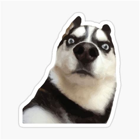 "Husky Meme" Sticker by lucas-caputi | Redbubble