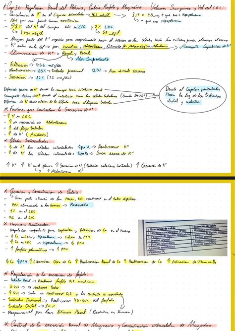 Resumen Del Cap 30 Guyton Res Academy