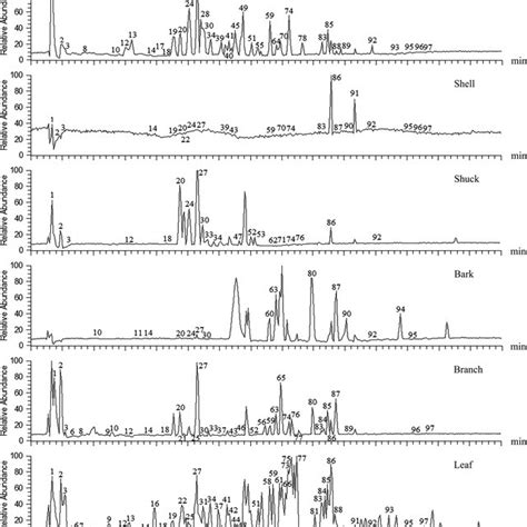 Uhplcltqorbitrap Ms Total Ion Current Chromatograms In Negative Ion