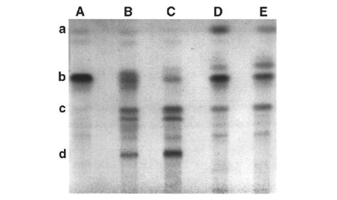 Thin Layer Chromatographic Tlc Analysis Of The Catalytic Conversion