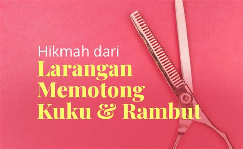 Hikmah Larangan Memotong Kuku Dan Rambut Bagi Shahibul Qurban