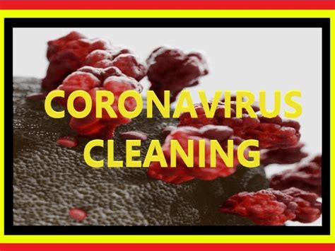 Disinfection And Decontamination Services Coronavirus Cleaning Troy