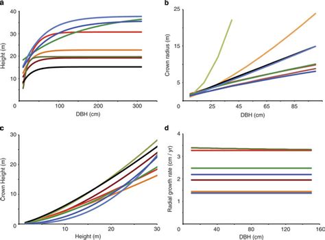 Allometric Relationships And Growth Rates For Adult Trees A