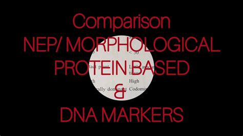 A Comparison Among Naked Eye Polymorphism Nep Morphological Protein