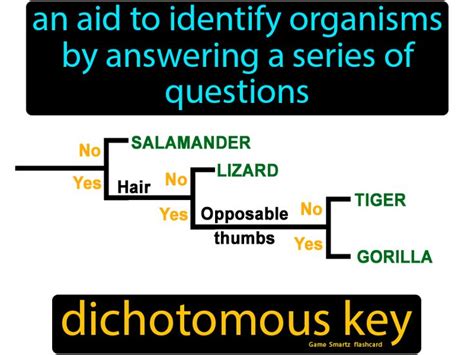 Dichotomous Key Easy Science Dichotomous Key Easy Science Flashcards