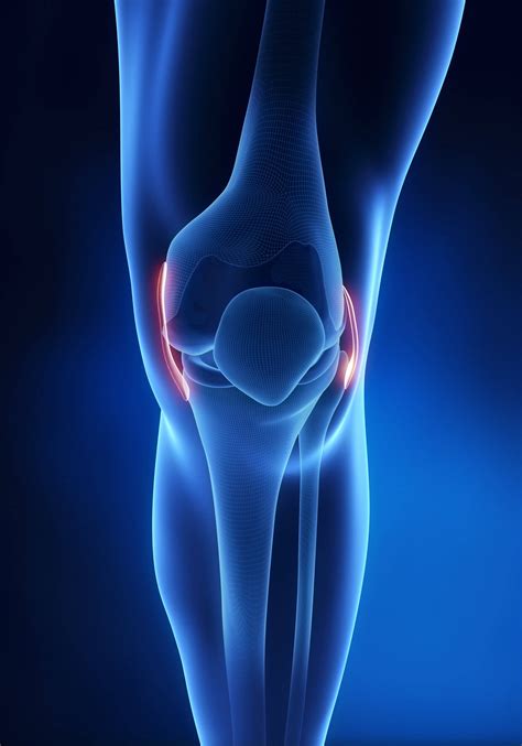 Top 3 Tests for Knee Injuries - Loudoun Sports Therapy Center