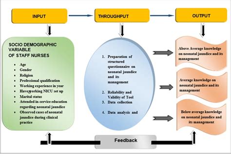 Figure 1 From Knowledge Regarding Neonatal Jaundice And Its Management