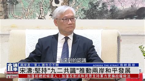 宋涛：坚持“九二共识”推动两岸和平发展凤凰网视频凤凰网