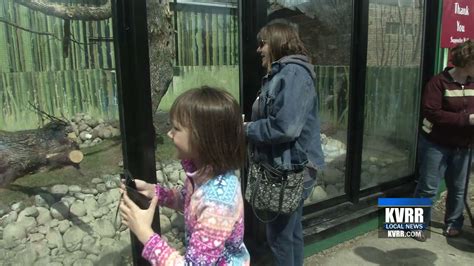 Step Aside Easter Bunny: All Animals Celebrate at Red River Zoo - KVRR ...