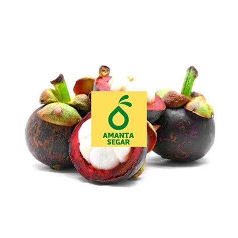 Jual Buah Manggis Super Manis Segar Fresh Terlaris Termurah Kg Halal