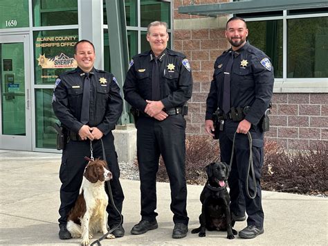 News Flash • Press Release – Felony Drug Arrest