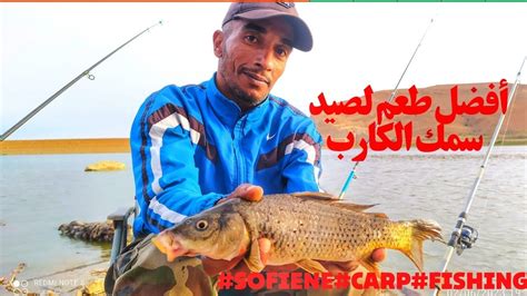 أفضل طعم لصيد سمك الكارب في فصل الصيف Sofiene Carp Fishing Youtube