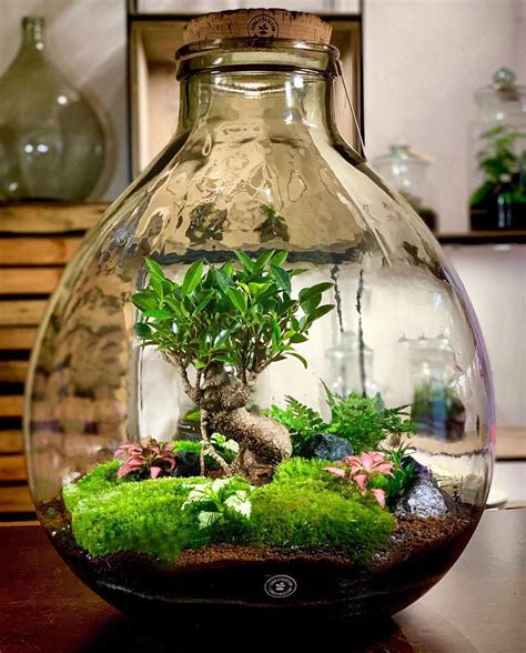 Stunning Terrarium Ideas For A Home Garden Under Glass