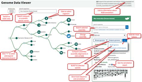 Genome Data Viewer - NCBI