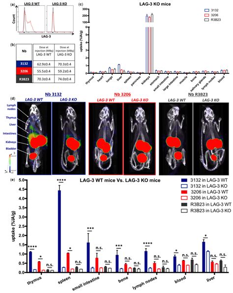 Characterization And In Vivo SPECT CT Imaging With Anti MoLAG 3 Nbs In