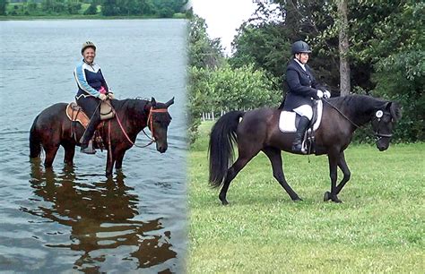 Gaited Trail riding and Gaited Dressage | Naturally Gaited Horse