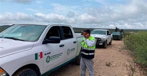 Revienta Un Bordo De Abrevadero En Armadillo