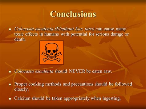 Toxicity In Humans By Ingestion Of Colocasia Esculenta Elephant Ear