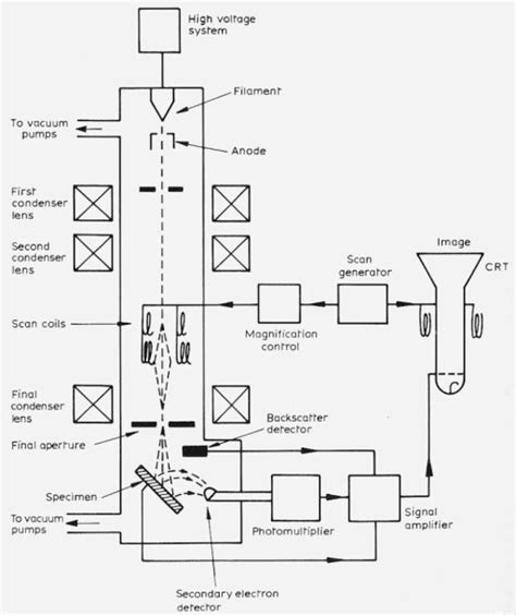 Diagram Of Scanning Electron Microscope