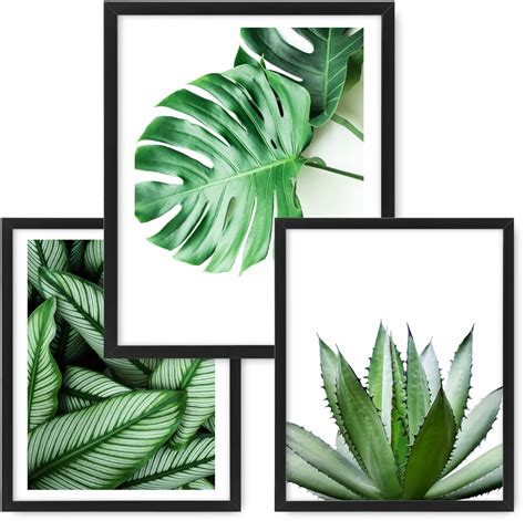 Zestaw 3 Obrazy 53x43 Plakaty MONSTERA Rama Ikea Cena Opinie