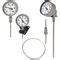 Stem Type Gas Expansion Thermometer 73 Series WIKA Alexander