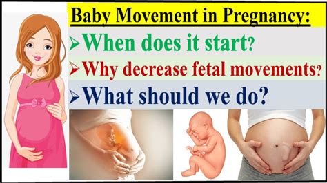 When And How To Count The Baby S Movements In Pregnancy Causes Of Less