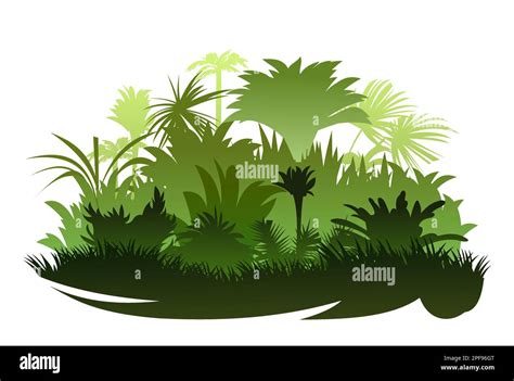 Jungle Rainforest Grass And Palm Trees Nature Landscape Silhouette