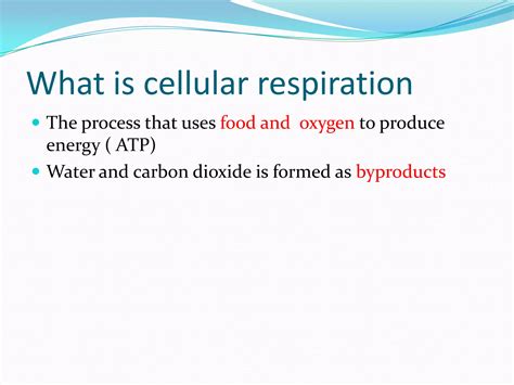 Cellular Respiration Ppt