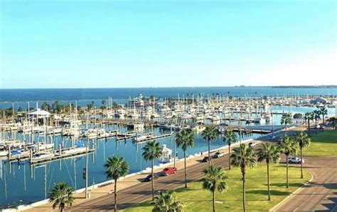 Things To Do In Corpus Christi, TX | Attractions & Entertainment ...