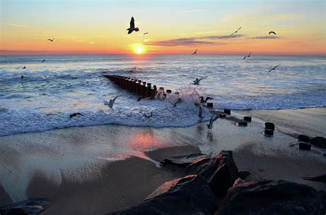 Bay Head Sunrise Photograph by Bob Cuthbert - Fine Art America