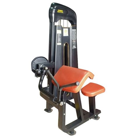 Biceps Curl Machine For Gym 250 Kg At Rs 39900 In New Delhi ID