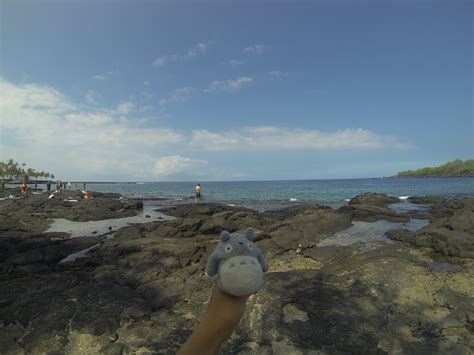 Snorkeling At Two Step On Big Island Big Island Snorkeling Island