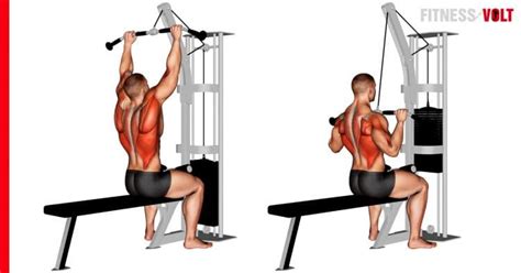 Cable Pulldown Exercise How To Variations Tips And Video Guide