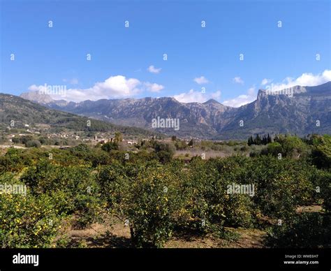 hiking in Soller- Mallorca,Spain Stock Photo - Alamy