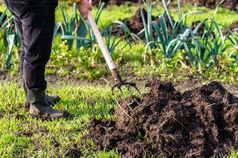 Quand Mettre Du Fumier Dans Son Jardin