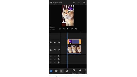 how to add logo into video