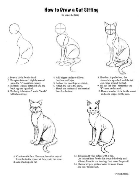 How To Draw Anything Step By Step Online Drawing Lessons Cat Drawing Warrior Cat Drawings