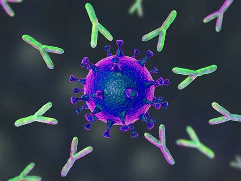 Teste de anticorpos neutralizantes contra SARS CoV 2 Laboratório São