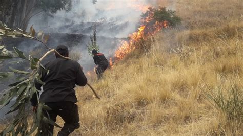 Junín Más De 3 Mil Hectáreas De Pastizales Y Bosques Se Afectan Por