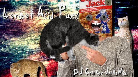 Lords Of Acid Pussy Dj Cracker Jacks Mix Youtube