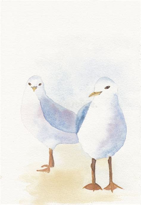 Mouettes D Aquarelle Illustration Stock Illustration Du Aquarelle