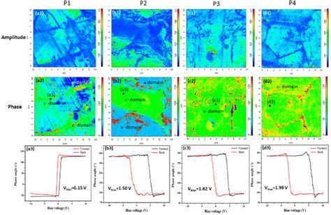 A1−d1 Pfm Amplitude Images Of P1−p4 A2−d2 Pfm Phase Images Of