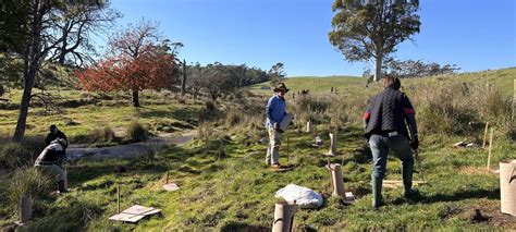 Riparian Plantings Multiple Benefits For Farms And Waterways