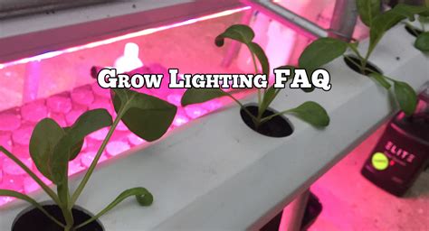 Grow Lighting FAQ - GROZINE