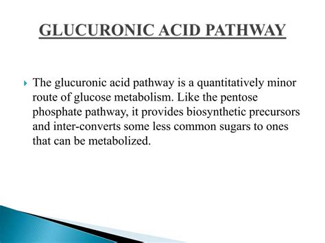 Uronic Acid Pathway Ppt