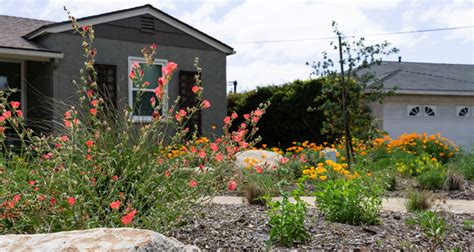 California Native Garden Wins Helix’s 2019 Landscape Contest - Water ...