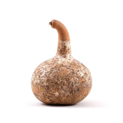 African Calabash Stock Photos Pictures And Royalty Free Images Istock