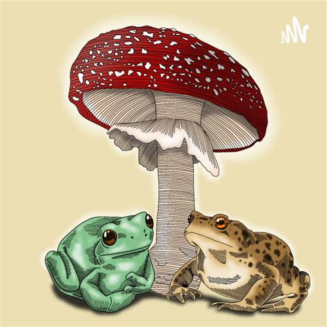 Under The Toadstool With Timmy Jas Podcast On Spotify