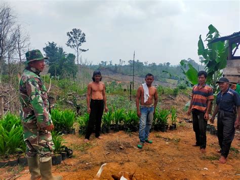 Bahaya Karhutla Dan Akan Ada Sangsi Bagi Yang Bakar Hutan Dimusim