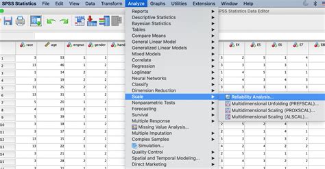 Reliability Analysis In Spss Stats U